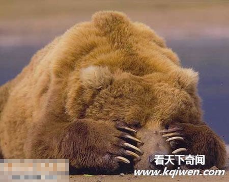 笑破肚皮！最牛搞笑图片全集 (组图)